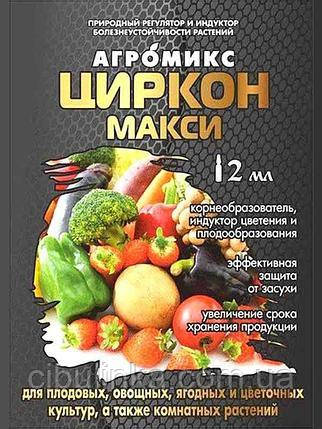 Регулятор росту Циркон Максі Agromaxi 2 мл, фото 1