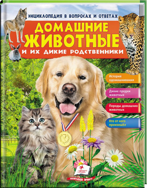 Пегас НФЕ Домашні тварини
