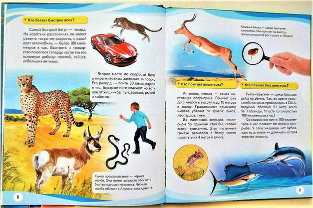 Пегас НФЕ Чомучки (дівчинка і телескоп) РУС, фото 4