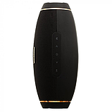 Портативна Bluetooth колонка Hopestar H20 Чорна, фото 2