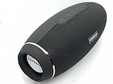 Портативна Bluetooth колонка Hopestar H20 Чорна, фото 4