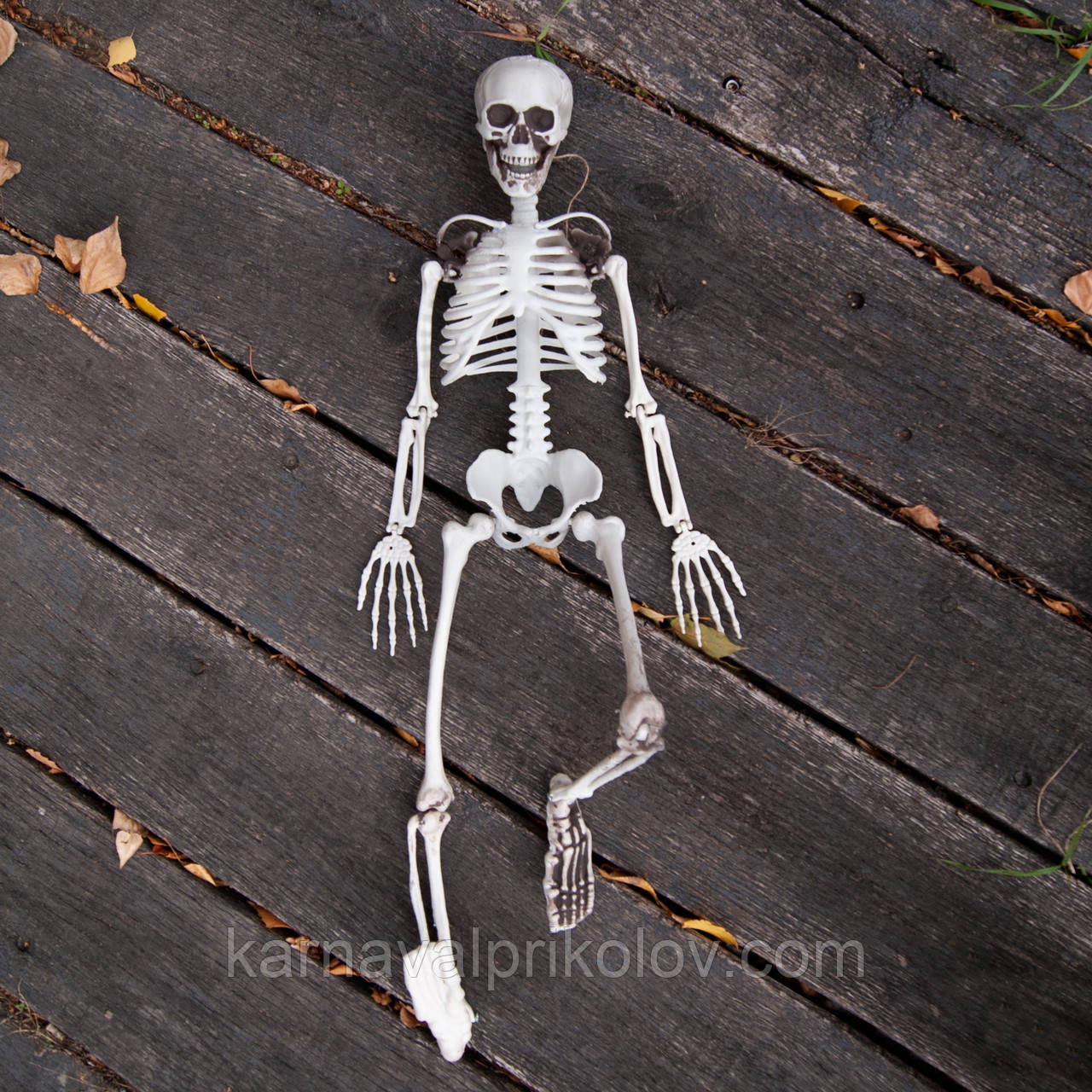 Скелет людини рухливий декоративний H90см