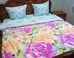 Постільна білизна Троянди на блакитному євро комплект
