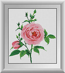 Алмазна вишивка Dream Art Ніжна троянда (квадратні камені, повна зашивання) (DA-30476) 35 х 40 см (Без підрамника)