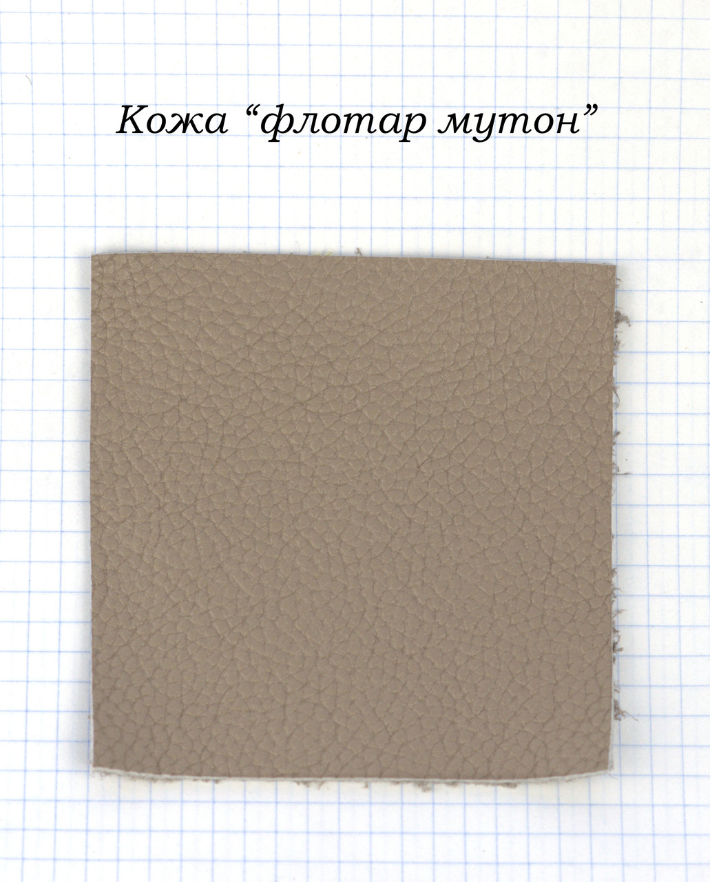 Шкіра "флотар мутон"