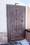 Двері, фото 4