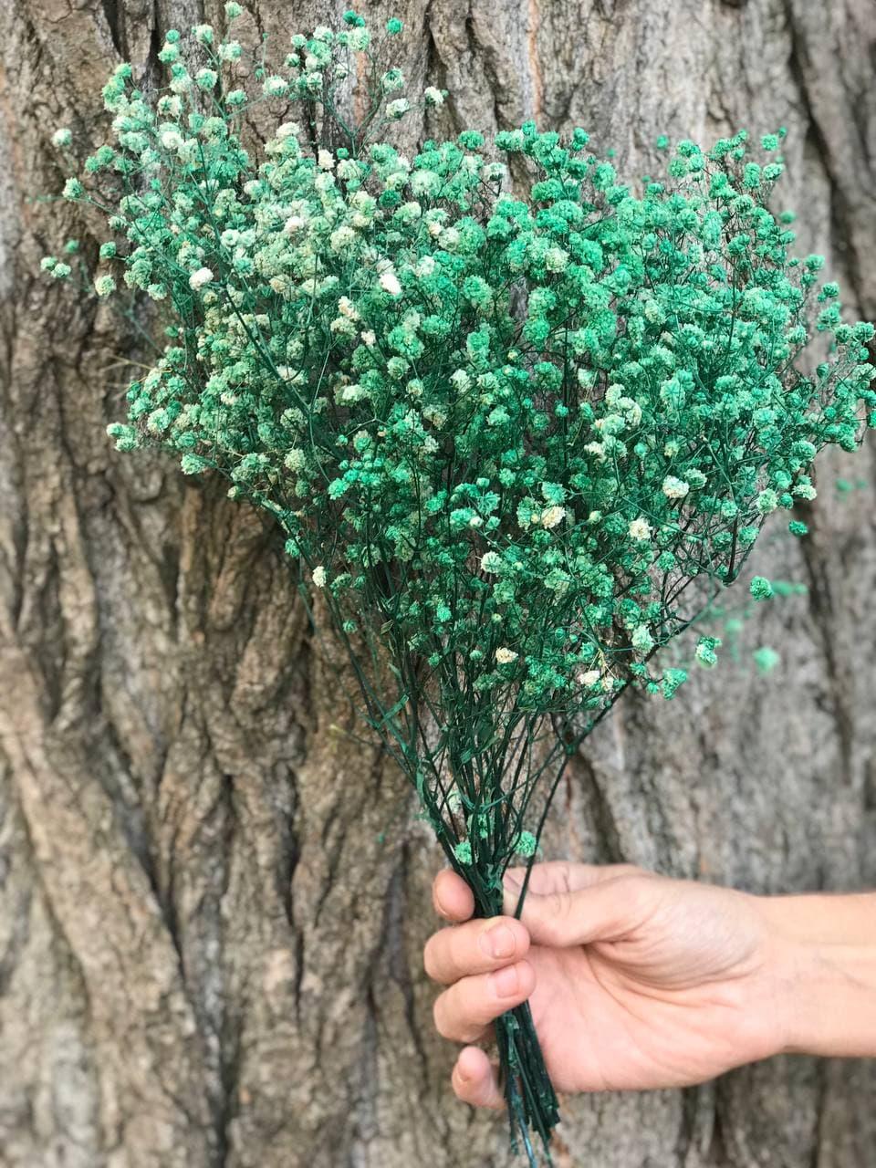 Стабилизированная Гипсофила — Купить Недорого на Bigl.ua (1501135125)