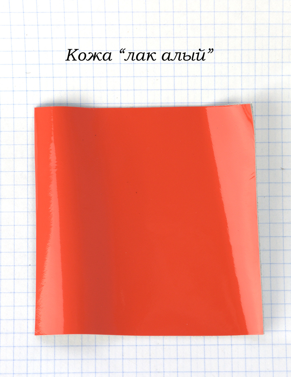 Шкіра червоний лак"