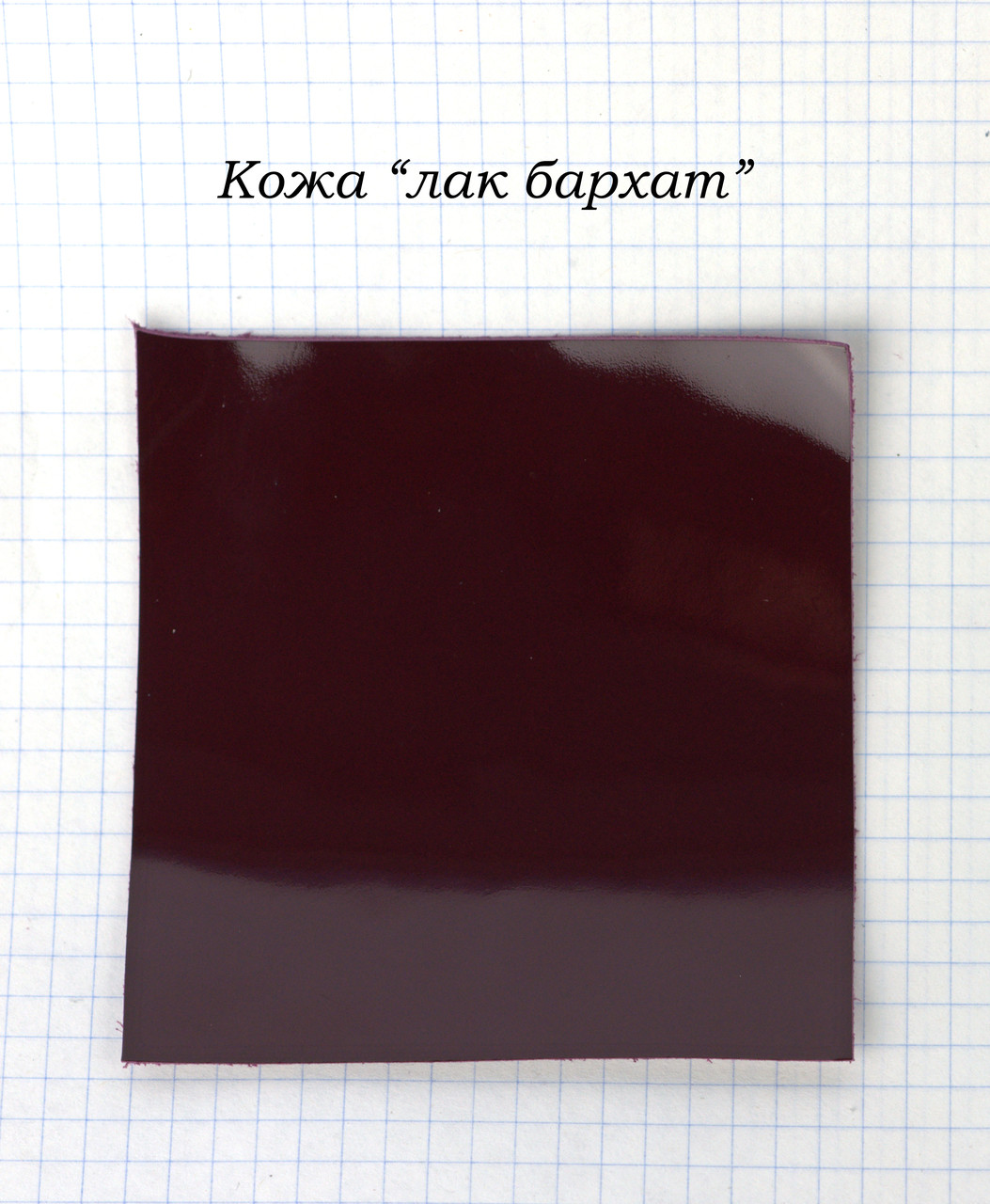 Шкіра лак оксамит