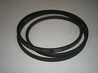 Ремінь клиновий А-630 ЯРТ (Арт. А-630)