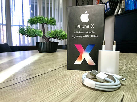 Зарядка + Кабель Lightning Apple iPhone 5, 5S, 6, 6S, 6Plus, 7, 7 Plus, 7+, 8, 8+,X, XR зарядний для айфона, фото 2