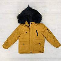 Куртка на хутрі для хлопчиків оптом, Seagull, 3/4-7/8 років, арт. CSQ-65099, фото 2