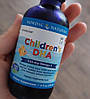 Риб'ячий жир для дітей Nordic Naturals children's DHA 530 mg Omega-3 119 мл полуниця, фото 10