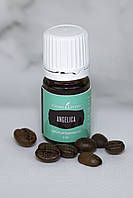 Ефірна олія Дягіля (Angelica) Young Living 5мл