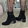 Черевики жіночі замшеві на невисокому каблуці, декоровані ремінцем, фото 2