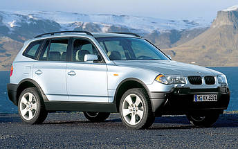 Амортизатор задній BMW X3 E83 від 2004-2011 з двигунами 2,0 2,5 3,0 (Задані непохитності БМВ х3), фото 3