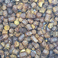 Перга "Пчелиный хлеб" майская цветочная с собственной пасеки, 100 г (Сумская область, Украина)