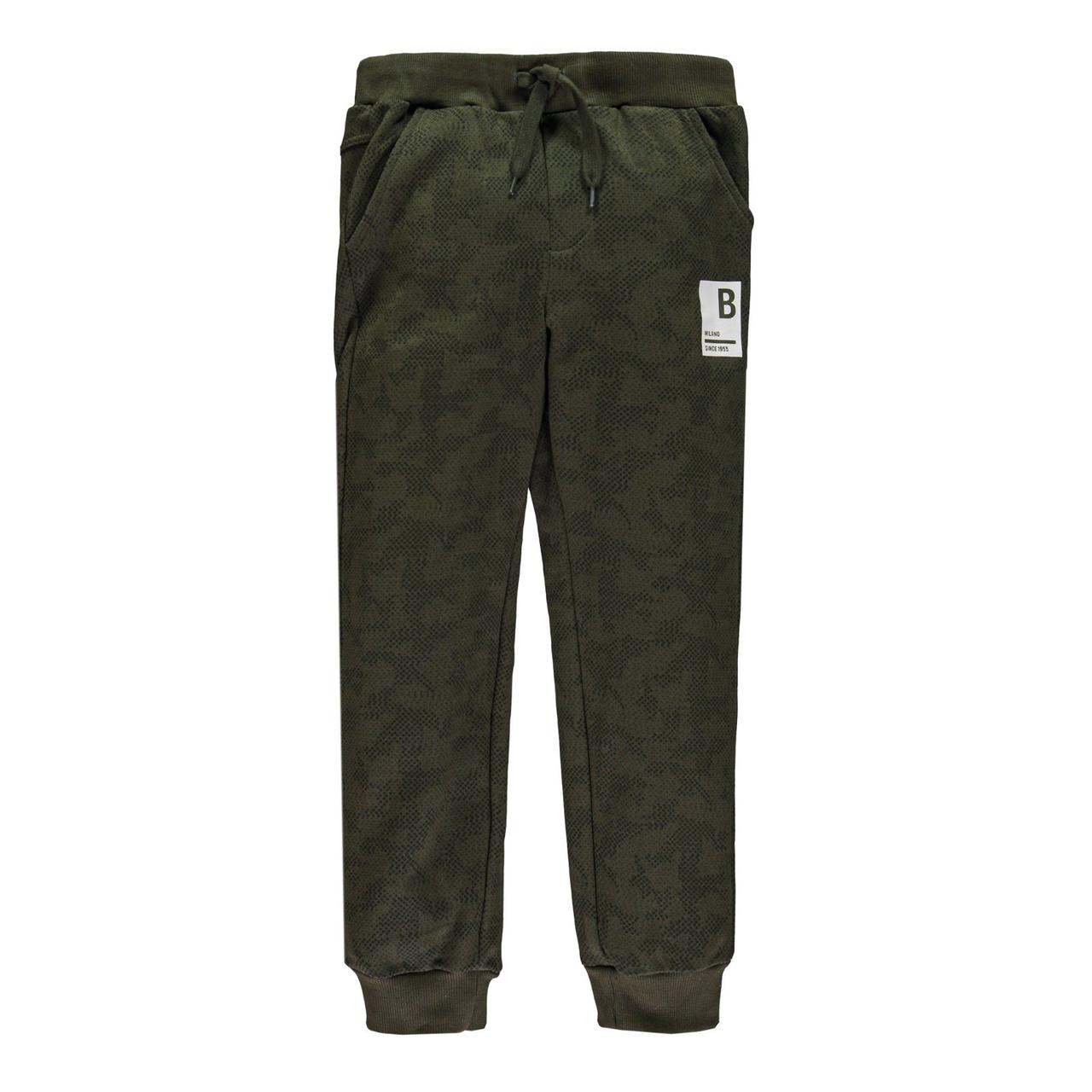 Утеплені спортивні штани для хлопчика Brums 213BFBM001-678 зелені 140-170