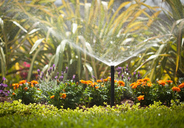 Форсунки Hunter з регульованим сектором поливу в роботі