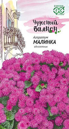 Насіння Агератум довгоцвітка Малинка 0,1 грама Гавріш, фото 1