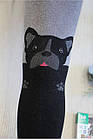 ОПТОМ Колготки темні з бульдогом Frenchie 50den (152-158 / 12-13 років)  Knittex 5906906039609, фото 2