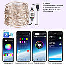 LED гірлянда 10м + Bluetooth, фото 4