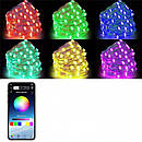 LED гірлянда 10м + Bluetooth, фото 5
