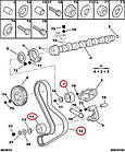 Комплект ГРМ на Fiat Ducato 230, Peugeot Boxer, Citroen Jumper (1994-2002) 2.5D, 2.8JTD/HDi, 0816E5, фото 6