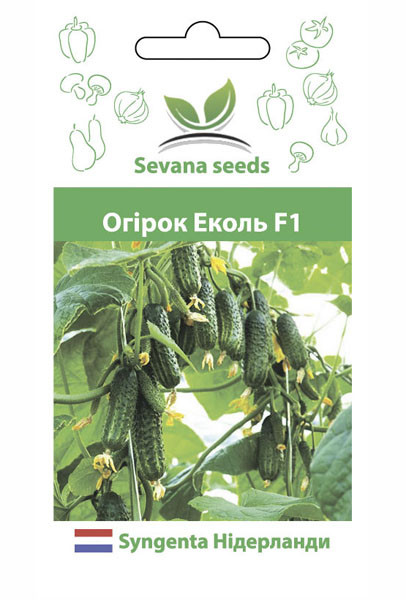Насіння огірків Еколь F1 10 шт. самозапильний Syngenta, фото 1