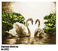 Картина для рисования по номерам 50×40 "Пара влюбленных лебедей" (Птицы)