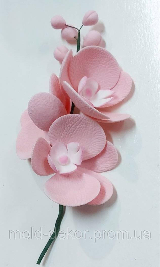 Сахарные цветы букет орхидея. - фото 1 - id-p1502131325