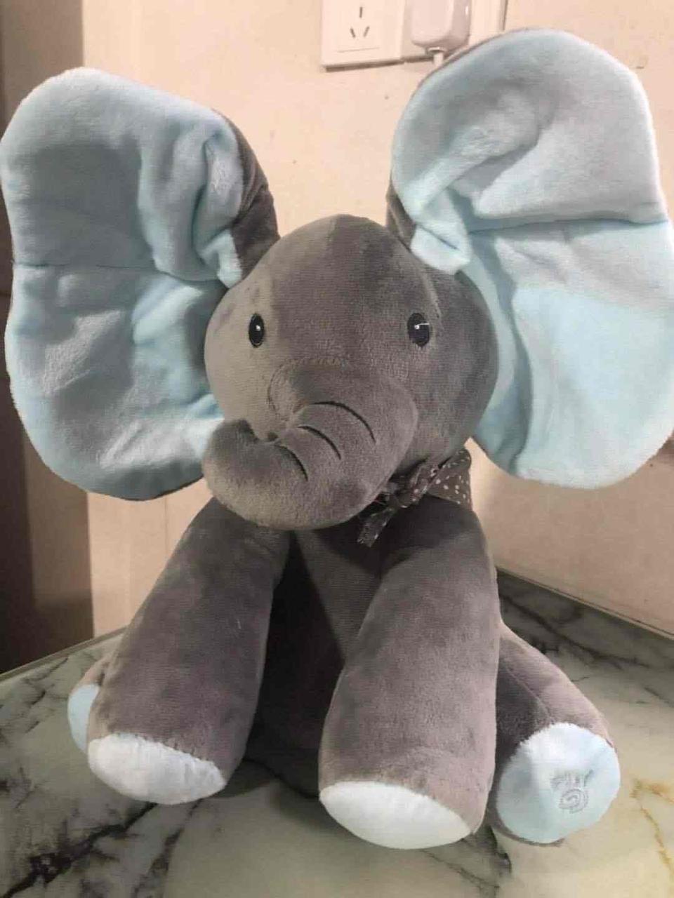 Peekaboo Elephant