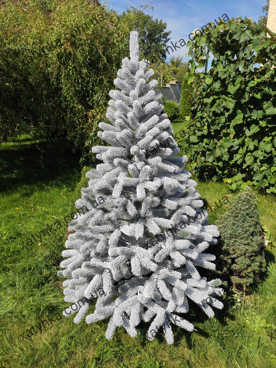 Ялина лита Буковельська Засніжена ялинка 1.80м Літа Ялина, фото 1