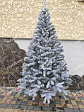 Ялина лита Буковельська Засніжена ялинка 1.80м Літа Ялина, фото 3