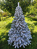 Ялина лита Буковельська Засніжена ялинка 1.80м Літа Ялина, фото 4