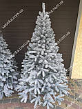 Ялина лита Буковельська Засніжена ялинка 1.80м Літа Ялина, фото 6