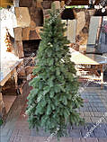 Ялина лита (Кедр Європейська ялинка) 1.50м Літа Ялина ялинка, фото 3