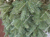 Ялина лита (Кедр Європейська ялинка) 1.50м Літа Ялина ялинка, фото 7