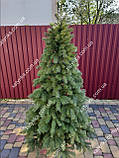 Ялина лита (Кедр Європейська ялинка) 1.50м Літа Ялина ялинка, фото 8