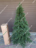 Ялина лита (Кедр Європейська ялинка) 1.50м Літа Ялина ялинка, фото 9