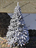 Ялина лита Буковельська Засніжена ялинка 1.50м, фото 4
