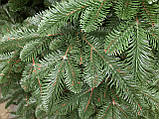 Ялина лита Канадська 2.30 м зелена Літа Ялинка штучна, фото 3