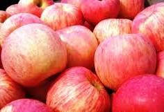 Яблуня зимова Фуджі. Саджанці з ВКС.