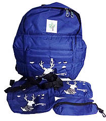 Рюкзак 3 в 1 (рюкзак, сумка, пенал)