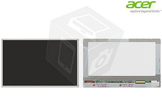 Дисплей (екран, матриця) для Acer Iconia Tab A200, оригінал