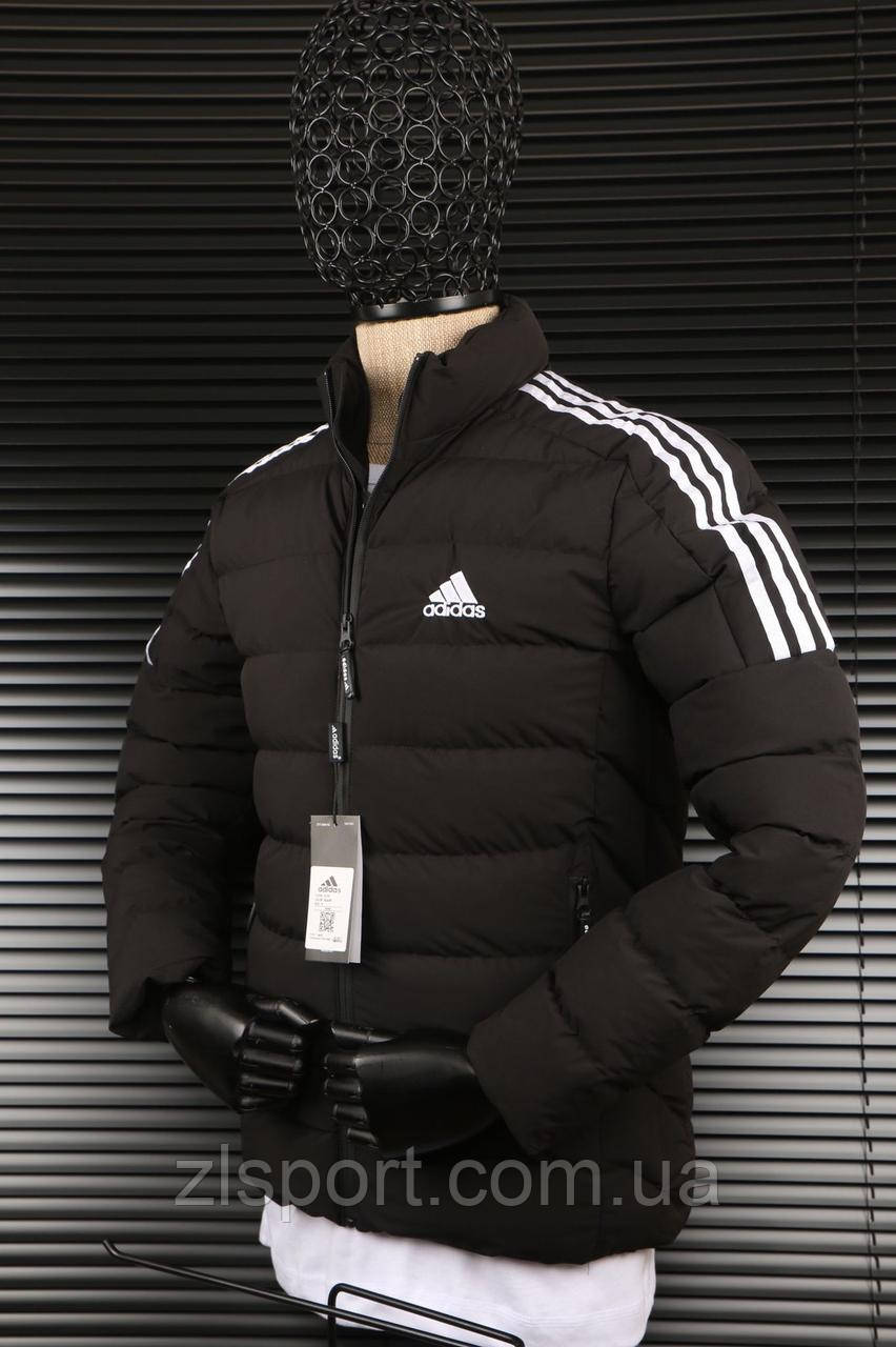 Чоловіча зимова куртка Adidas без капюшона