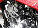 Мотоцикл Viper V250L, фото 8