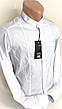 Стильна чоловіча сорочка стійка воріт Enisse vds-0001 приталені біла, з довгим рукавом Туреччина, фото 6