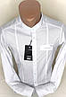 Стильна чоловіча сорочка стійка воріт Enisse vds-0001 приталені біла, з довгим рукавом Туреччина, фото 10