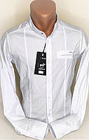 Стильна чоловіча сорочка стійка воріт Enisse vds-0001 приталені біла, з довгим рукавом Туреччина
